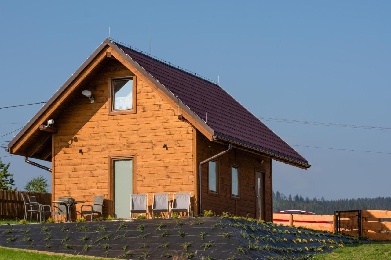 Villa U Jana I Wita Istebna Exterior foto